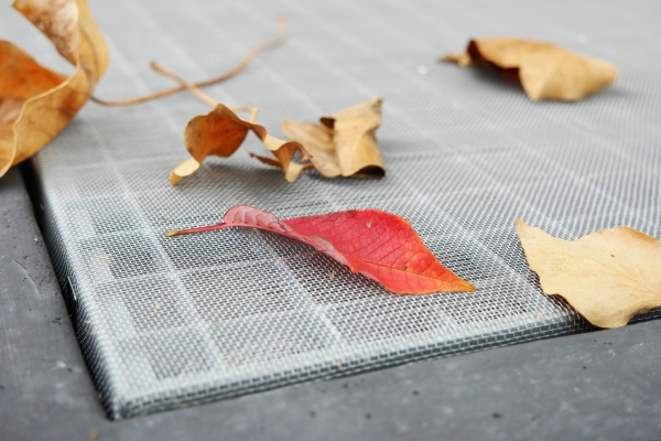 Herbstblätter liegen auf einer feinmaschigen Lichtschutzabdeckung.